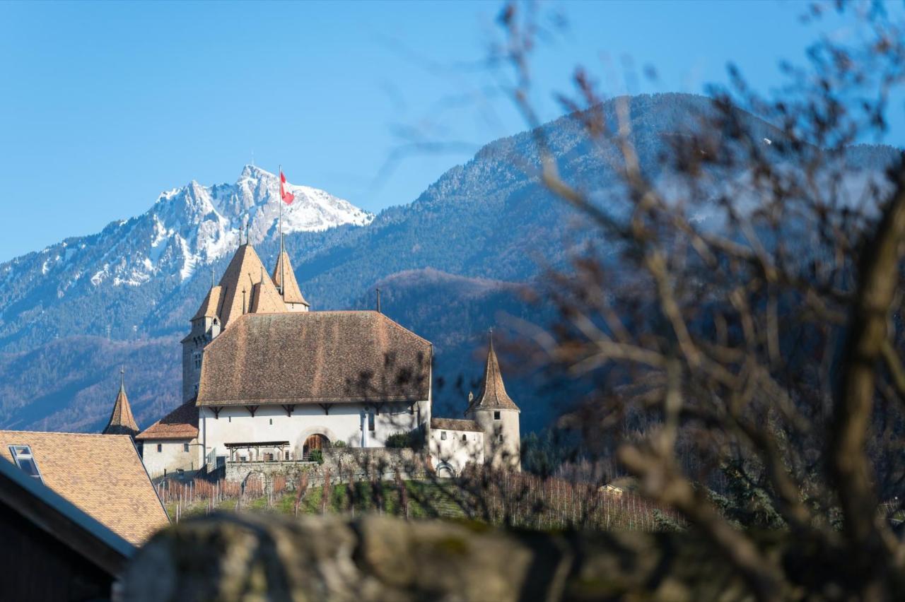 Nonanteneuf Appart Hotel Aigle - Contactless Check-In 外观 照片